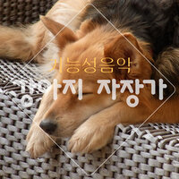 설레는 맘 (바다소리) - Pet Music