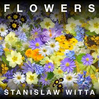 Dahlia - Stanislaw Witta