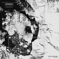 Sierra Nevada - Nicko Shuo & A L V S M