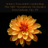 Don Quixote, Op. 35: XI. Variation IX: The Combat with the Two Magicians - Arturo Toscanini & NBC Symphony Orchestra & Рихард Штраус