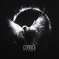 Сорвусь (prod. by TLMusic) - T1One