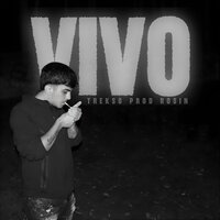 VIVO - Rosin & Trekso