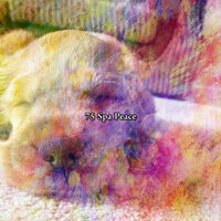 Sleep Serenity - White Noise for Baby Sleep