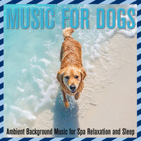 Keep Calm - Dog Music Dreams & Relax My Dog