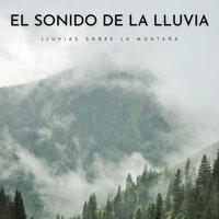 Un Día Para Meditar - Sonidos de lluvia & Tormentas Naturales & #Relajante