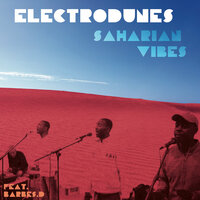 New Way Steppa - Electrodunes & Barbés.D