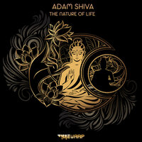 Goametrical Patterns - Adam Shiva