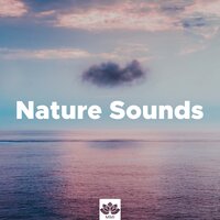 Japan Garden (Relaxation Music) - Inside Trace & Sounds Of Nature: Thunderstorm, Rain & Inside Trace & Sounds of Nature: Thunderstorm, Rain