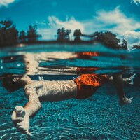 A New Land - Shlomi Kendel