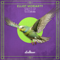 Spaces - Elliot Moriarty & SHRI (IND)
