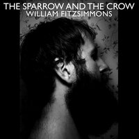 If You Would Come Back Home - William Fitzsimmons