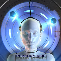 Emotion Capacity - Paradox Side