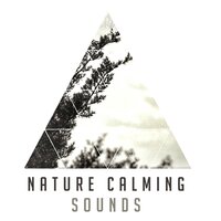 Healing Water - Nature Sounds Relaxation: Music for Sleep, Meditation, Massage Therapy, Spa