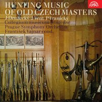 Partita in D Major: III. Romance - Frantisek Vajnar & Collegium musicum pragense & Collegium musicum Pragense, František Vajnar