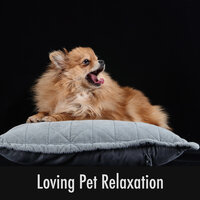 Dog Walk Affinity - Calming Doggy Relaxation
