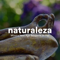 Ahora - Musica Para Dormir y Sonidos de la Naturaleza & Late Night Chillout & Musica Para Dormir y Sonidos de la Naturaleza & Late Night Chillout