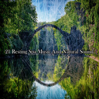 Harmony In Mother Nature - Nature Sounds Artists