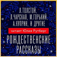 Рождественские рассказы. Часть 20 - Алексей Багдасаров & Владимир Левашёв & Иван Литвинов & Илья Сланевский & Нона Трояновская