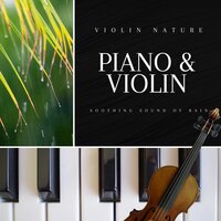 Cry Just a Little Bit - Violin Nature