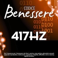 Codice benessere 417 Hz: bio frequenze per il benessere dei reni, vescica, area pelvica, ghiandole sessuali, apparato riproduttivo - Evp
