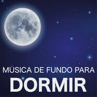 Buscando O Equilibrio - Fundo Musical Academy New Age
