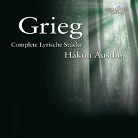 No. 3, At Your Feet - Håkon Austbø & Эдвард Григ