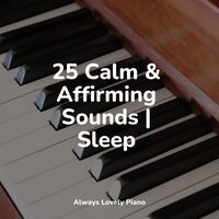 Dancing Leaves - Piano Prayer & Massage Music & Klassisk Musik Orkester