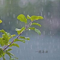 雨中愁 - 水墨民乐