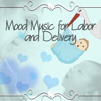 Violin Sonata No. 3 in G Minor, Op. 137, D. 408: II. Andante - Expecting Mothers Music Academy & Франц Шуберт