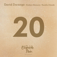 Broken Element - David Durango