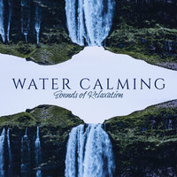 Inner Silence - Nature Tribe & Nature Sound Collection & Relaxing With Sounds of Nature and Spa Music Natural White Noise Sound Therapy