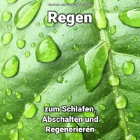 Chill Out und Regen - Wim Genth & Rain Sounds & Nature Sounds
