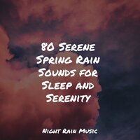 White Noise Splashing Rain Drops - Asian Zen Spa Music Meditation & Calming Rainforest Sounds & Yoga Workout Music