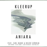 Kärlekskult - Kleerup