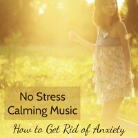 Relaxing Sounds - Meditation Relax Club