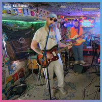 Come Back Alive - Killer Whale & Jam in the Van