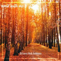 3D Forest Walk Ambience, Pt. 19 - Daniel Dodik