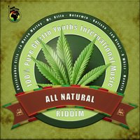 Don't Burn Your Bridges - Jah Vinci
