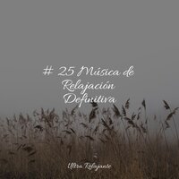 Sol De Otoño - Meditação Zen & Musica Relajante Piano Master & Sonidos De Truenos y Lluvia