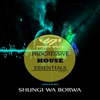 Infections - Shungi Wa Borwa feat. Inner Child & Shungi Wa Borwa & InNeR ChiLd