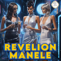 muzica de revelion - Nicolae Guta & Costel Biju & Adrian Copilul Minune & Vali Vijelie & Copilul De Aur & Adi de la Valcea