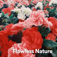 Ambience of Earth, Pt. 18 - Mother Earth Sounds