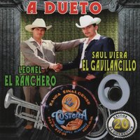 Delante de Mi - Saul Viera El Gavilancillo