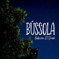 Ella's Got Her Eyes - Koalas from El Dorado
