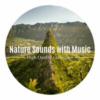 Bio-energy Meditation - Hypnotherapy & Morning Meditation