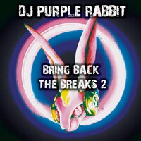 A Journey - DJ Purple Rabbit & Razz