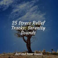 Longing - Massage Tribe & Lullaby Babies & mindfulness meditation world