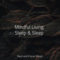 Water Ripple - Music For Absolute Sleep & Egyptian Meditation Temple & Relaxing Nature Music