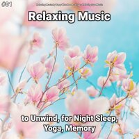 Relaxing Music, Pt. 1 - Relaxing Music by Terry Woodbead & Yoga & Relaxing Spa Music