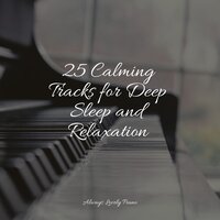Crackle of the Fire - Little Magic Piano & Relaxed Minds & Calming Piano